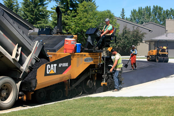 Environmentally-friendly driveway pavers